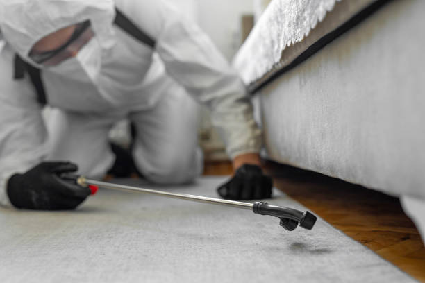 Professional Termite Control technician working in Alexandria, AL