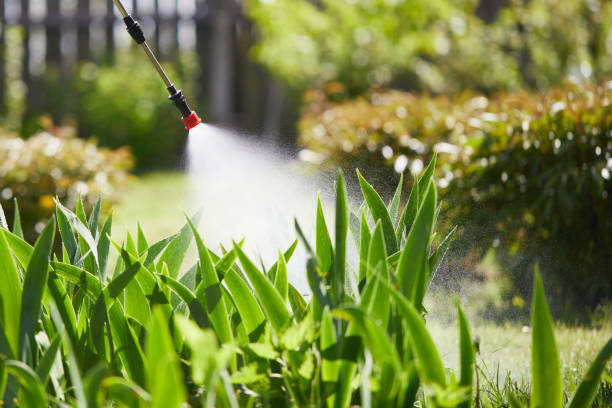 24/7 Emergency Termite Control experts in Alexandria, AL
