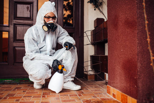 Reliable Termite Control contractor in Alexandria, AL by Nex Pest Control